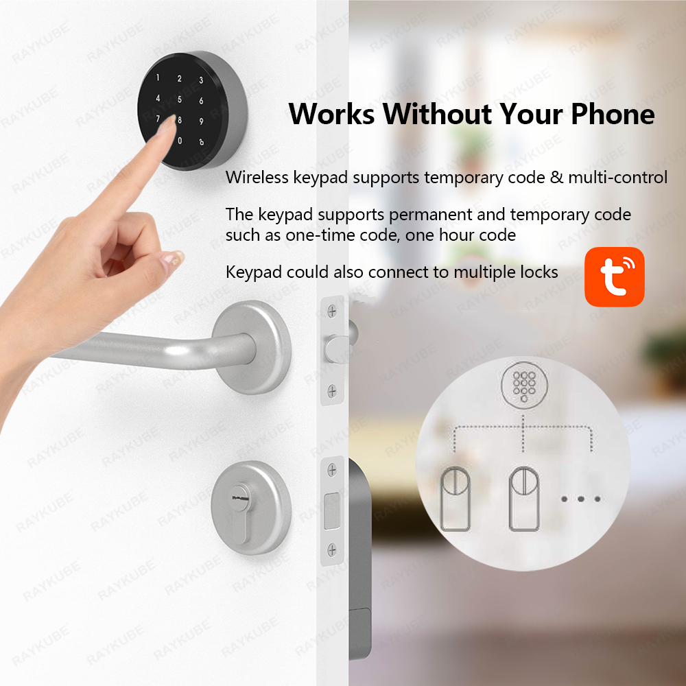RAYKUBE A1 Pro Tuya BEL Smart  - огляд і ціна Woodworking App